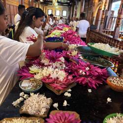 Flowers as offerings to Buddha = good luck.