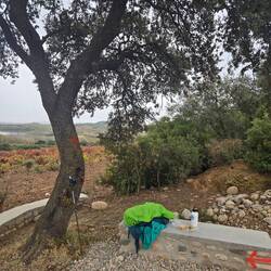 Sandwich break before the rain makes it soggy