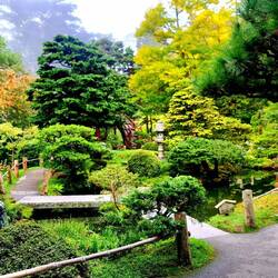 Japangarten für $16😡