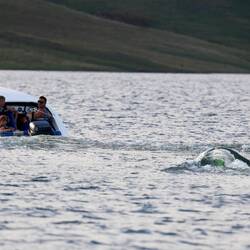 The finish submarine