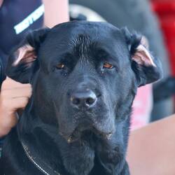 What did u do to me??