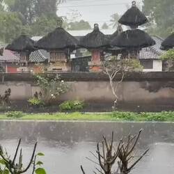 Sheltering from a mega-downpour - lightning almost on top of us, thunder deafening. Exciting!