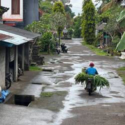 Passing through sleepy Taro before we start to descend back down to Ubud
