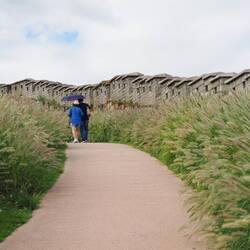 Stadtmauerreste bei Dongdaemun / Remains of city wall near Dangdaemun