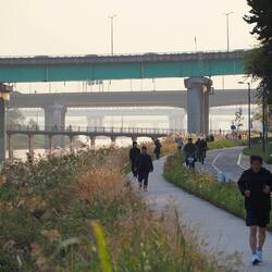 Abendstimmung am Fluss / Evening atmosphere at the river