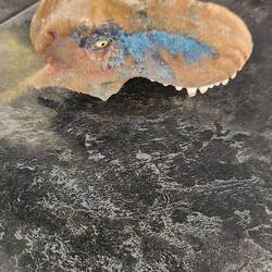 Garys dinosaur fossil he found.