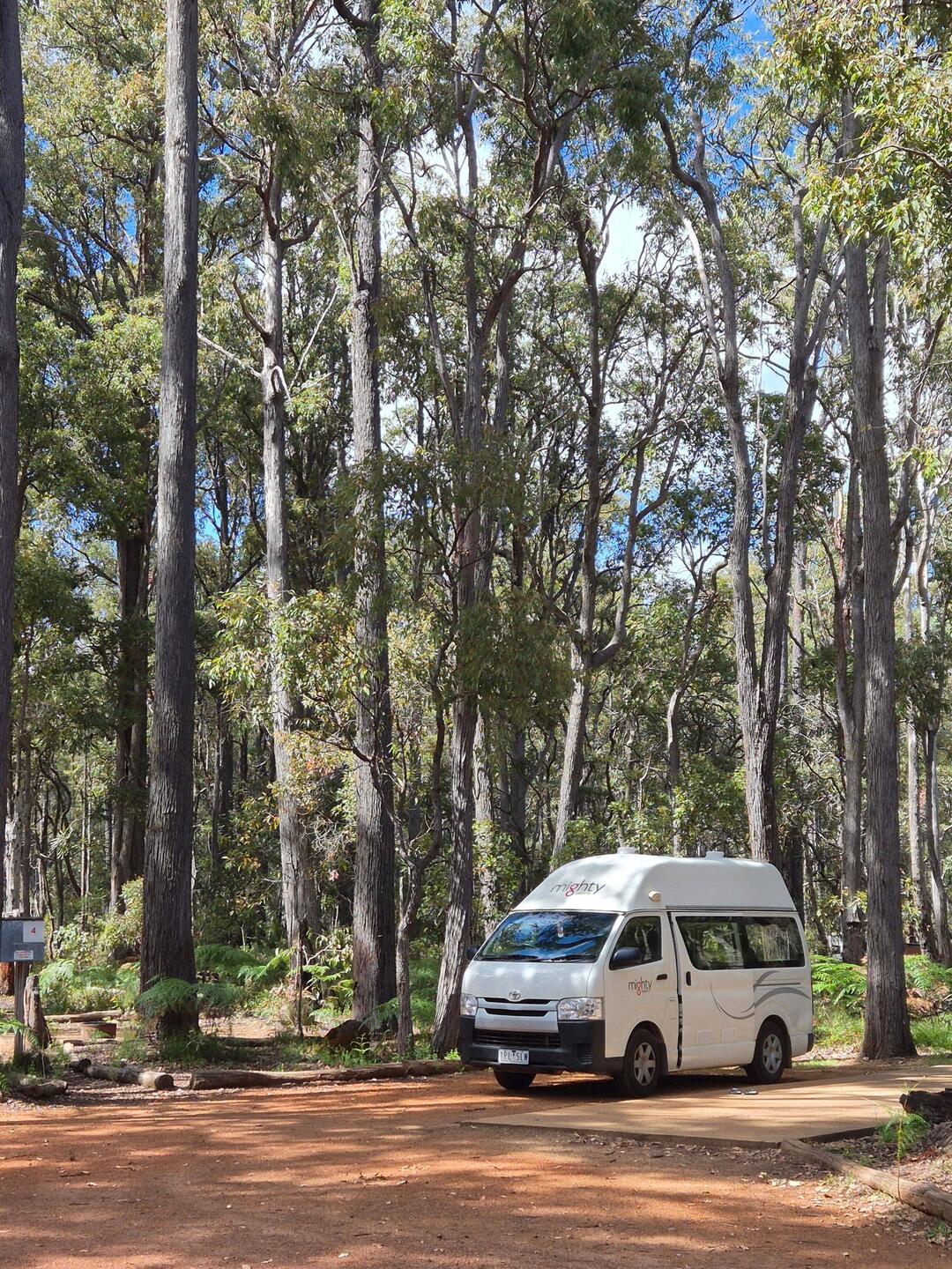 Stellplatz mitten im Wald