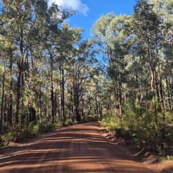 Straße in den Nationalpark