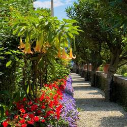 Colorful flowers — Isola Bella, Stresa.