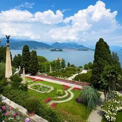 Parterre of Azaleas ... beyond the mountains is Switzerland — Isola Bella, Stresa.