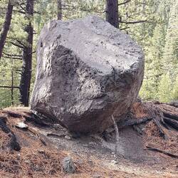 Da hat ein Spaßvogel ein Stütze hingestellt.