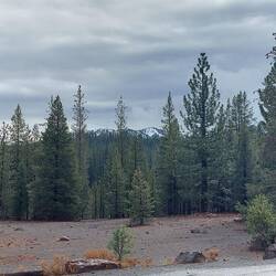 Man kann etwas erahnen.