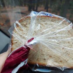 Konsistenz als ob jemand Sägespäne mit Holzstückchen aufgekehrt hätte, Geschmack nicht besser.