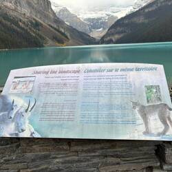 Menschen und Wildtiere teilen sich die Landschaft rund um den Lake Louise.