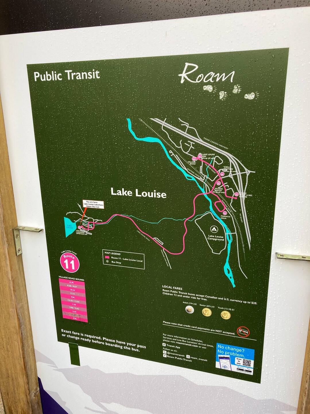 Mit dem Bus vom Lake Louise Inn direkt an den türkisblauen See.