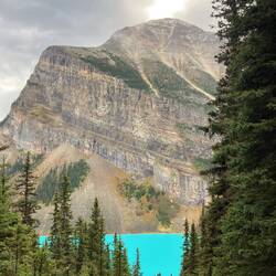 Sieht aus wie das Fehlen einer Textur.
