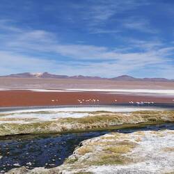 Laguna Colorada