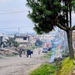 Was man nicht braucht wird verbrannt