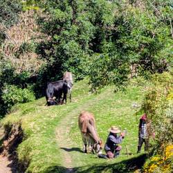 Zurück geht's wieder vorbei an Feldern und Bauern
