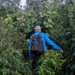 Durchs nasse Gestrüpp