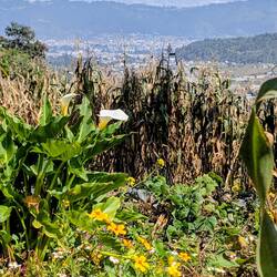 Und einer fantastischen Natur, was für eine tolle Tour