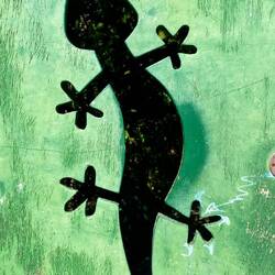 Der Gomera Gecko