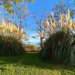 Ambiente beim Abendessen
