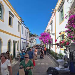 jedes Gasserl auch megasauber