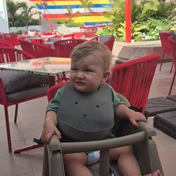 Raub-Samsi-Fütterung