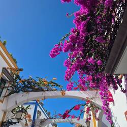 diese Farben 🤩 (auch ohne Süßis)