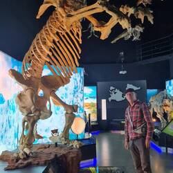 Ein Faultier - links im Bild!