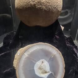 Ei, Ei - natürlich rund!