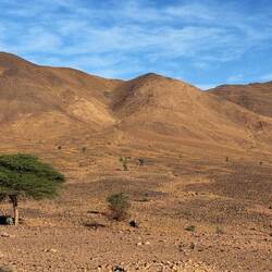 Heute fahren wir durch tollste Landachaften