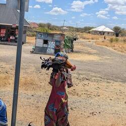 Little girl selling a rooster by the side of the highway