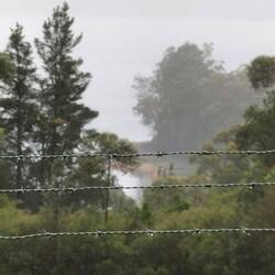 Uitkijkpunt met water en kangoeroes