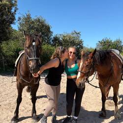 Clydesdales - Wer hätte die in Australien erwartet