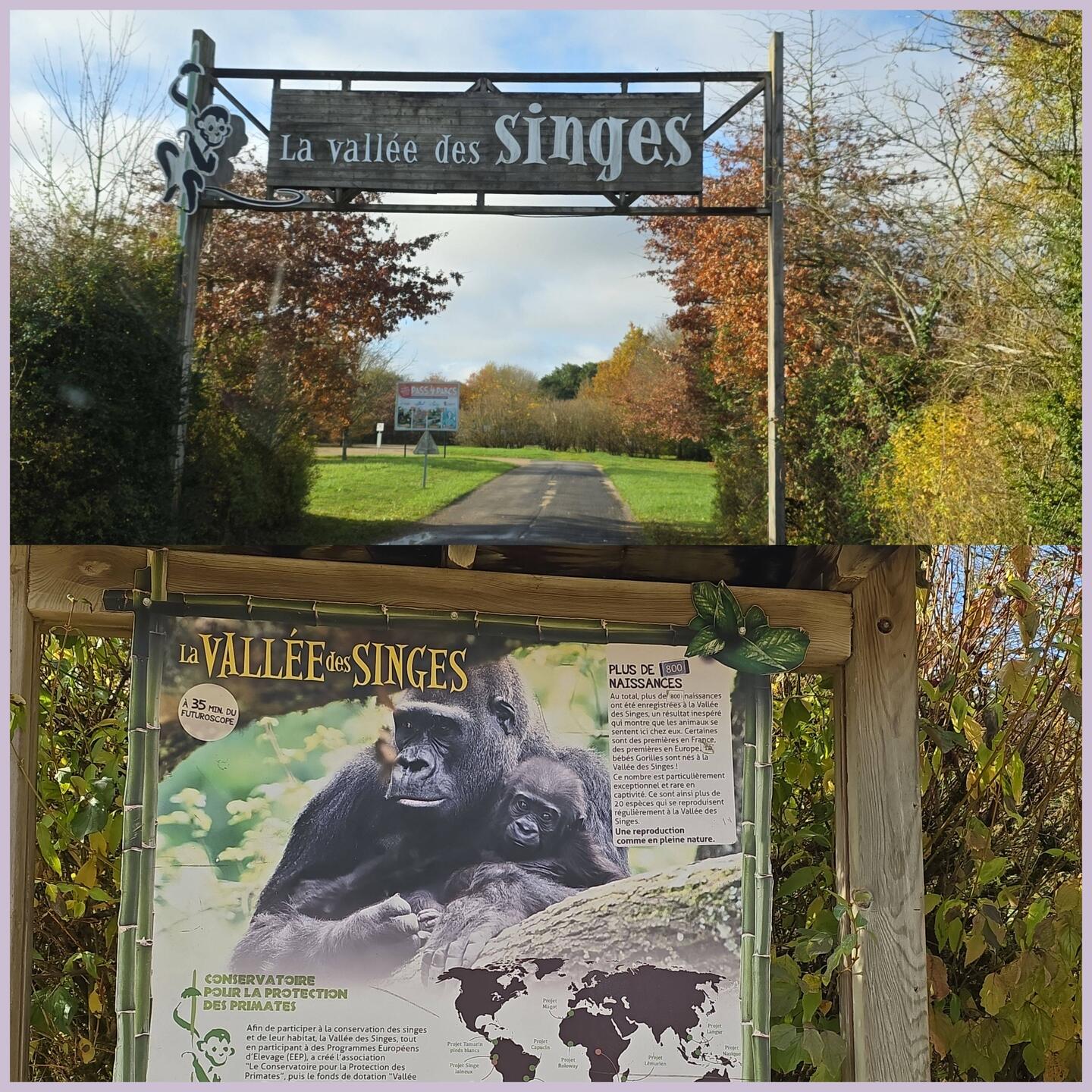 Eingang ins "Tal der Affen"