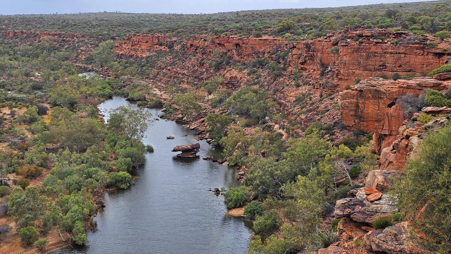 Hawk’s Head Lookout