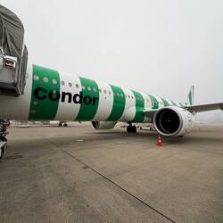 Üse Flüger A321Neo