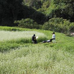 Das Ambiente macht die Musik / The ambiance makes the music