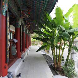 Die Bananen sind in Korea angekommen / Bananas arrived in Korea