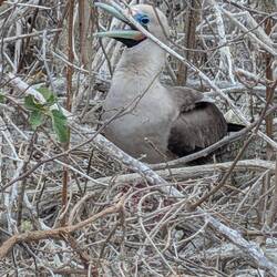 It didn't take long but we wanted to get a good look at the feet