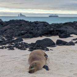 Our last dip in the Pacific