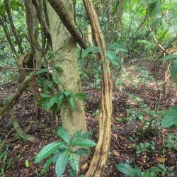 Grosse Churros😊😋