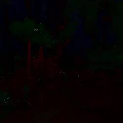 4 Going in dark (hoping to avoid snakes)