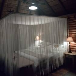 5 Aino being sick very badly all tho all the vaccines and meds we must take on the trip