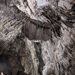 Scheiben oder Fahnenformation