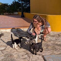 Viele Katzen 🐱🐈❤️