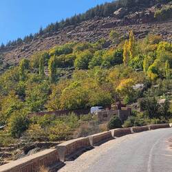 Autumn colours above 2000m