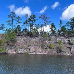 Canalside trees hang on for dear life